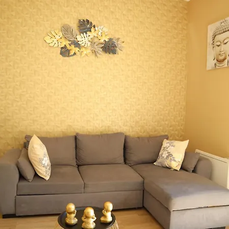 Le Moment Bien-être - Jacuzzi Privatif, Terrasse Et Parking Gratuit Au Centre De Saint-omer Apartamento *